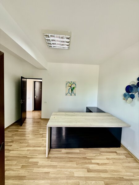 Aviatiei, Elena Caragiani, office building 2012,