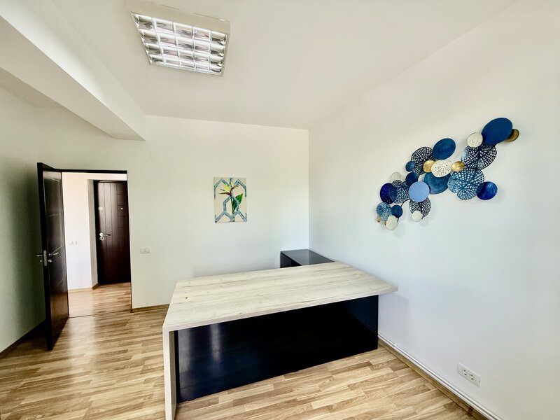 Aviatiei, Elena Caragiani, office building 2012,